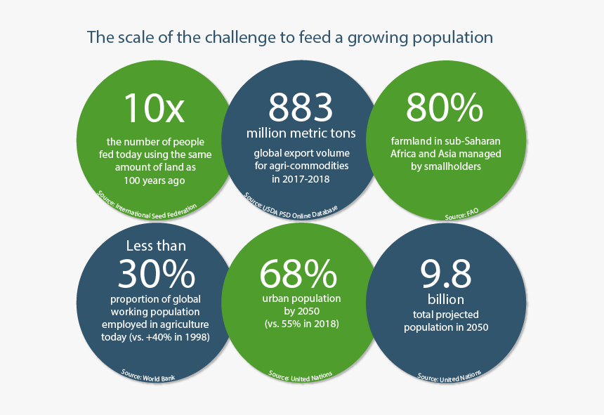 Circle, HD Png Download