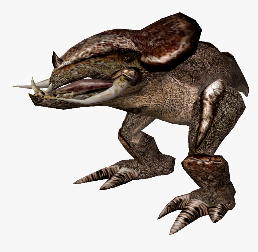 Kagouti Morrowind, HD Png Download