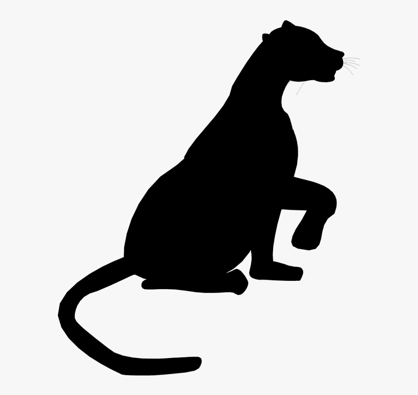 Cat Dog Clip Art Mammal Canidae - Illustration, HD Png Download