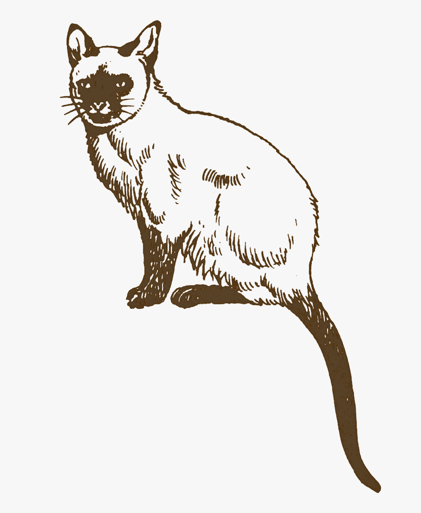 Cat Dog Silhouette Poster Pet - 動漫 手繪 小 貓, HD Png Download