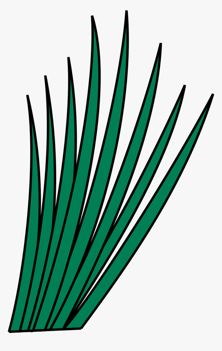 Clip Art, HD Png Download