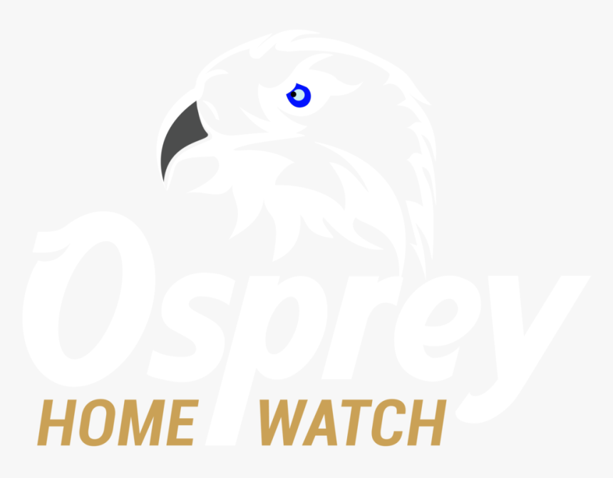 Hawk, HD Png Download