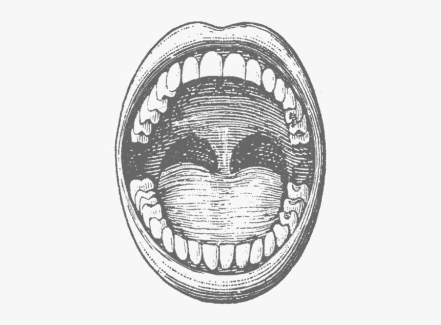 Pt 0002 Layer-1 - Drawing Of A Mouth Open, HD Png Download