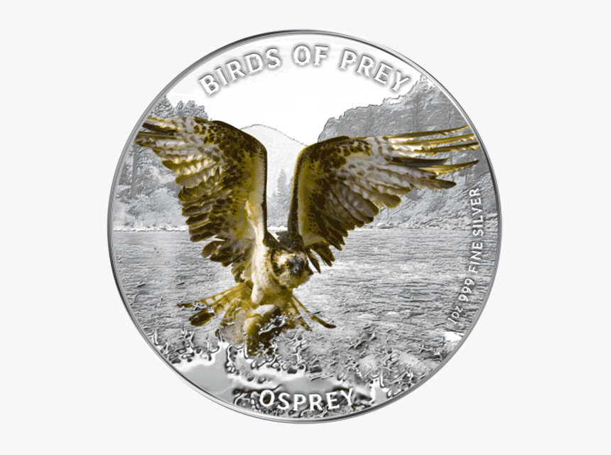 Niue 2013 2$ Osprey Birds Of Prey Proof Silver Coin - Osprey Hunting, HD Png Download
