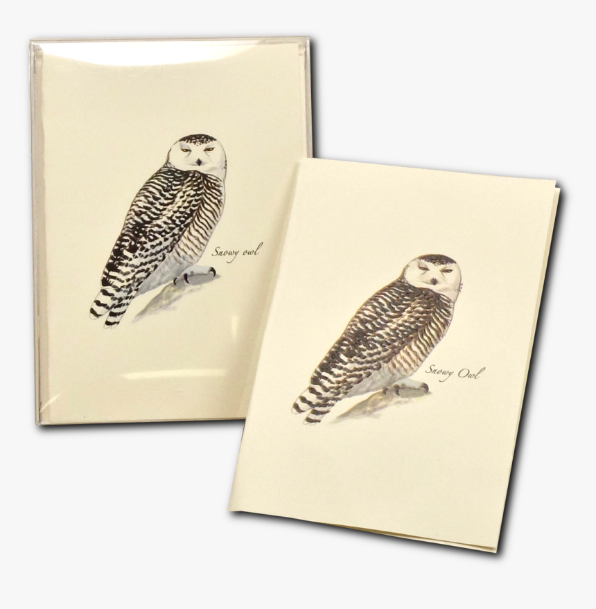 Transparent Snow Owl Png - Owl, Png Download