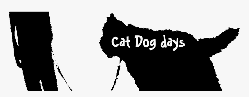 Love Boracay, HD Png Download