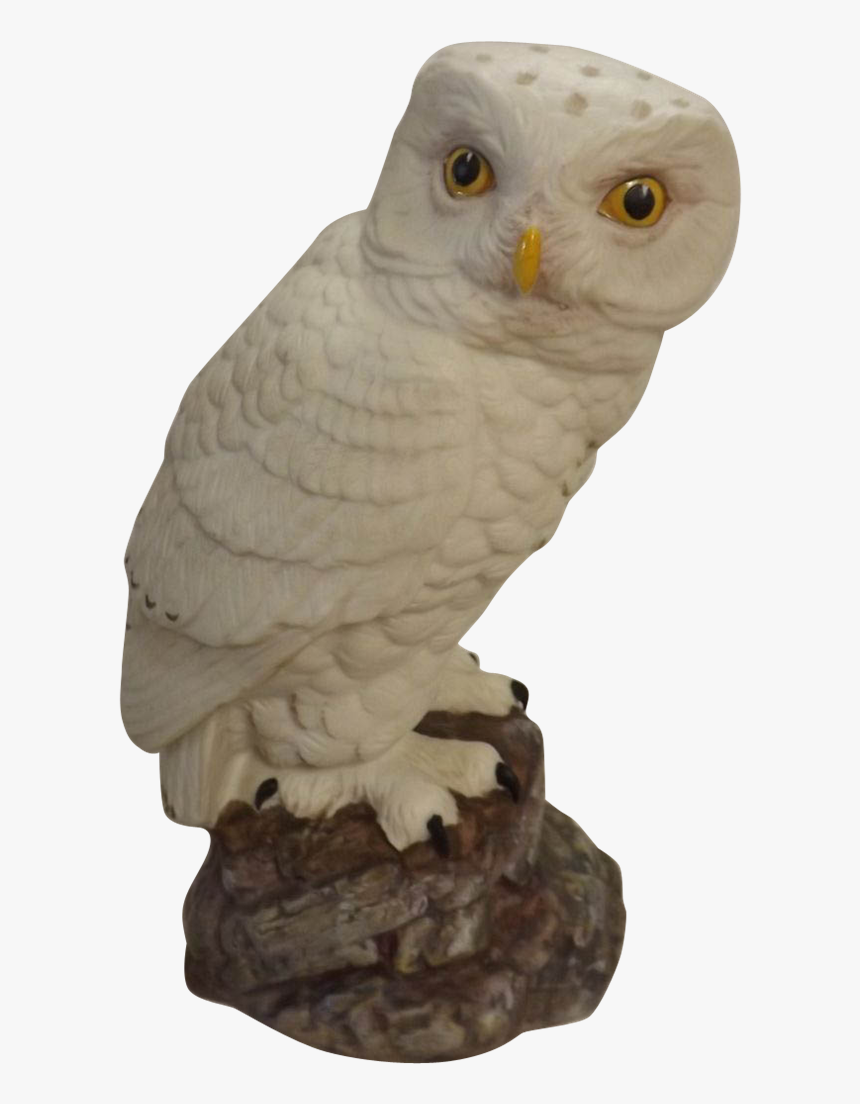 Snow Owl Png -porcelain Snowy Owl - Snowy Owl, Transparent Png