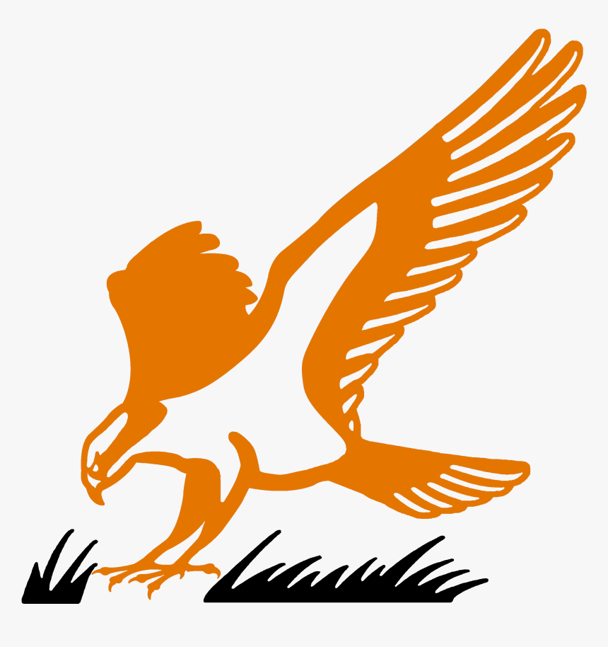 Hawk Clipart Osprey - Portable Network Graphics, HD Png Download