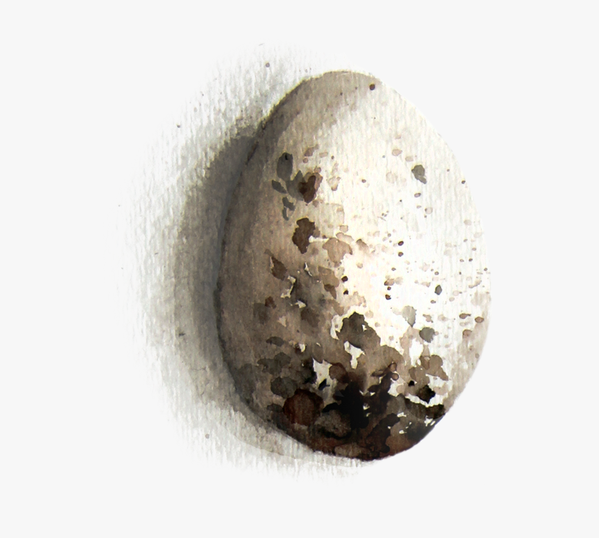 Circle, HD Png Download