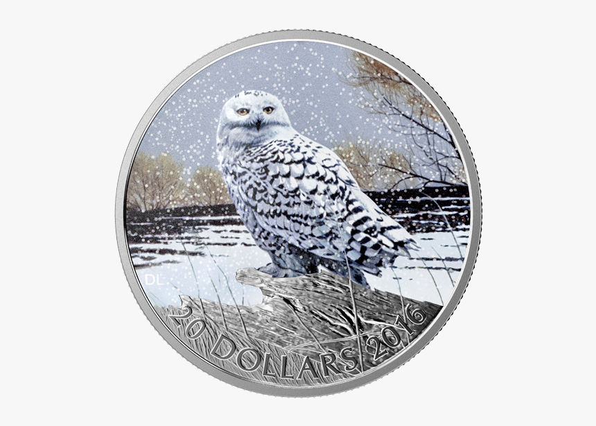 Snowy Owl Silver Coin, HD Png Download