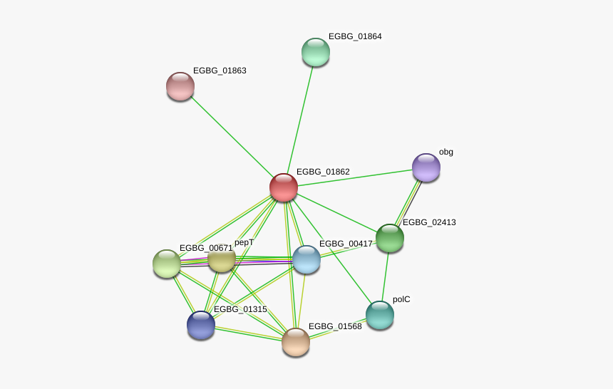 Egbg 01862 Protein - Circle, HD Png Download