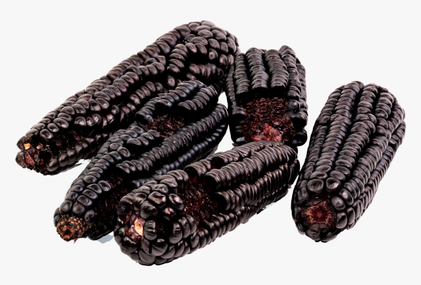 Heirloom Purple Corn - Bean, HD Png Download