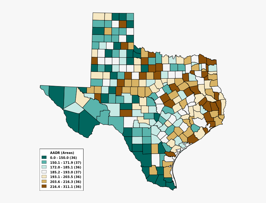 Bird, HD Png Download