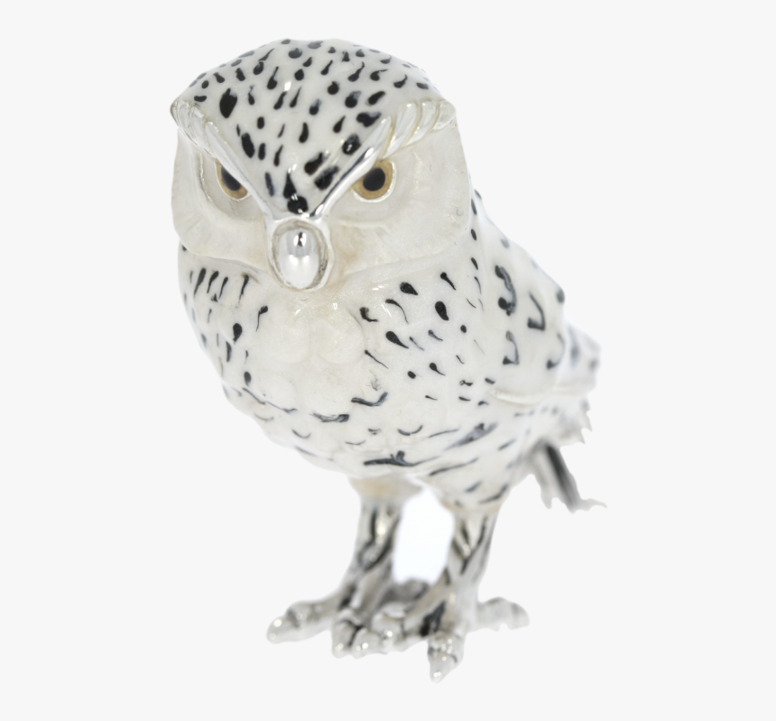 Snowy Owl, HD Png Download