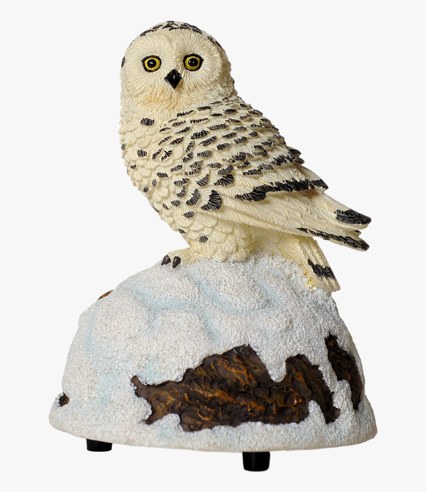 Snowy Owl Png, Transparent Png