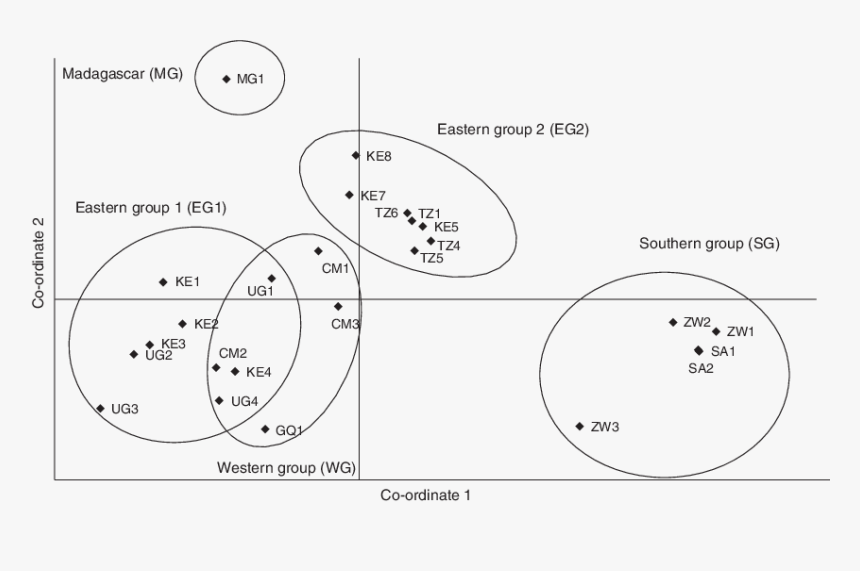 Diagram, HD Png Download