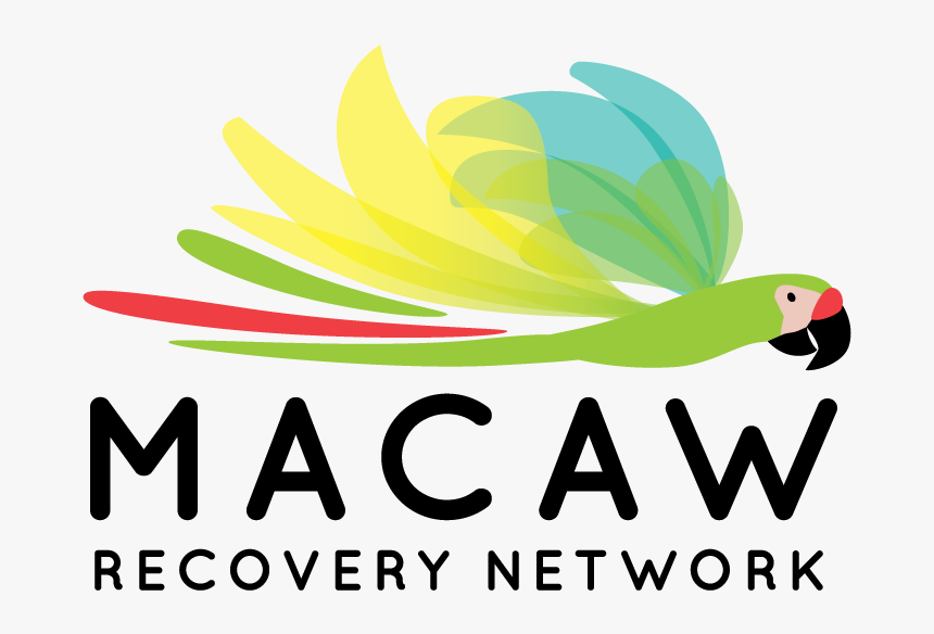 For Further Communications And Information About Macaw - Parakeet, HD Png Download