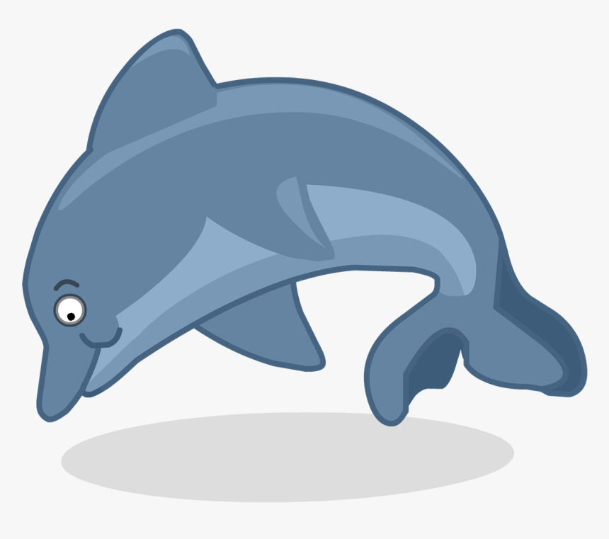 Imagenes De Delfin Png, Transparent Png
