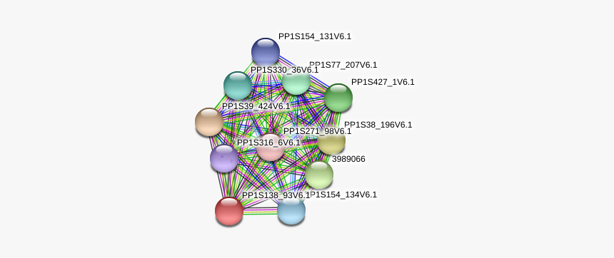 1 Protein - Circle, HD Png Download
