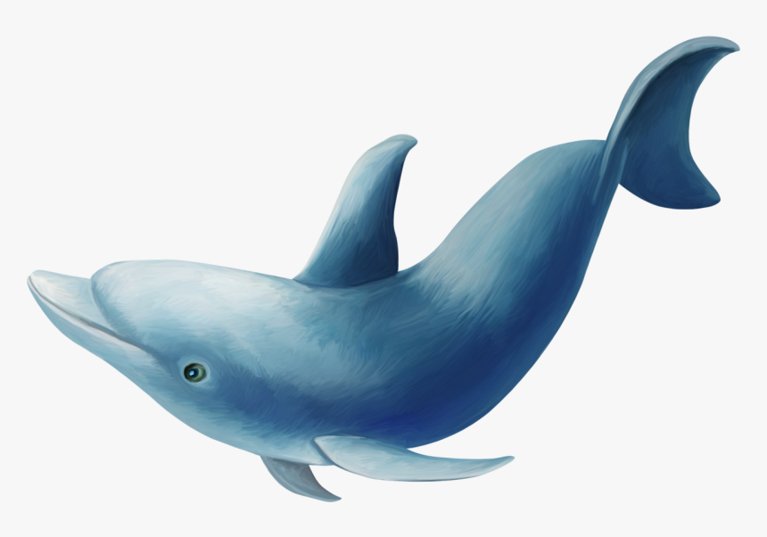 Transparent Bottlenose Dolphin Clipart - Delfin Png, Png Download