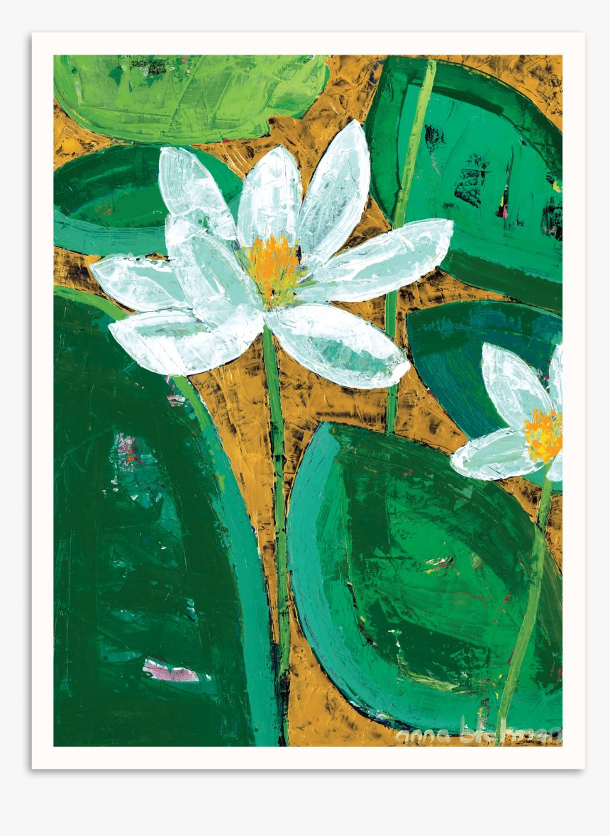 Sacred Lotus, HD Png Download