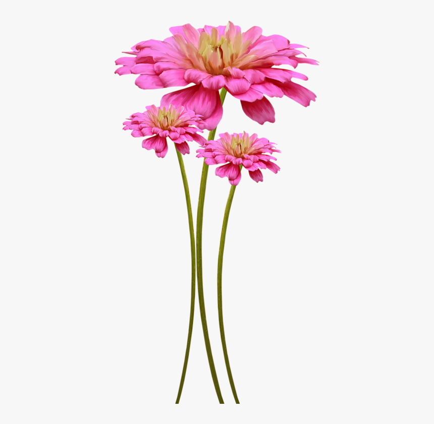 Fleurs Pour Embellir Vos Pages De Scrapbooking En Png - Fleur Png, Transparent Png