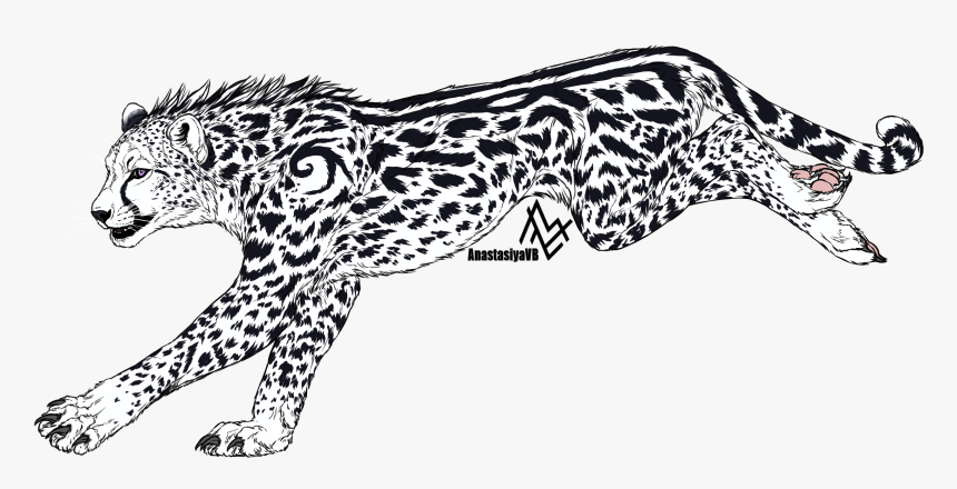 White Cheetah - Cheetah, HD Png Download