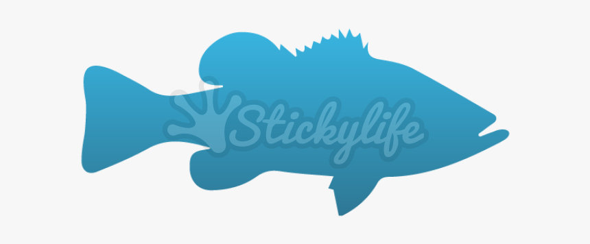 Largemouth Bass Temporary Tattoo, HD Png Download