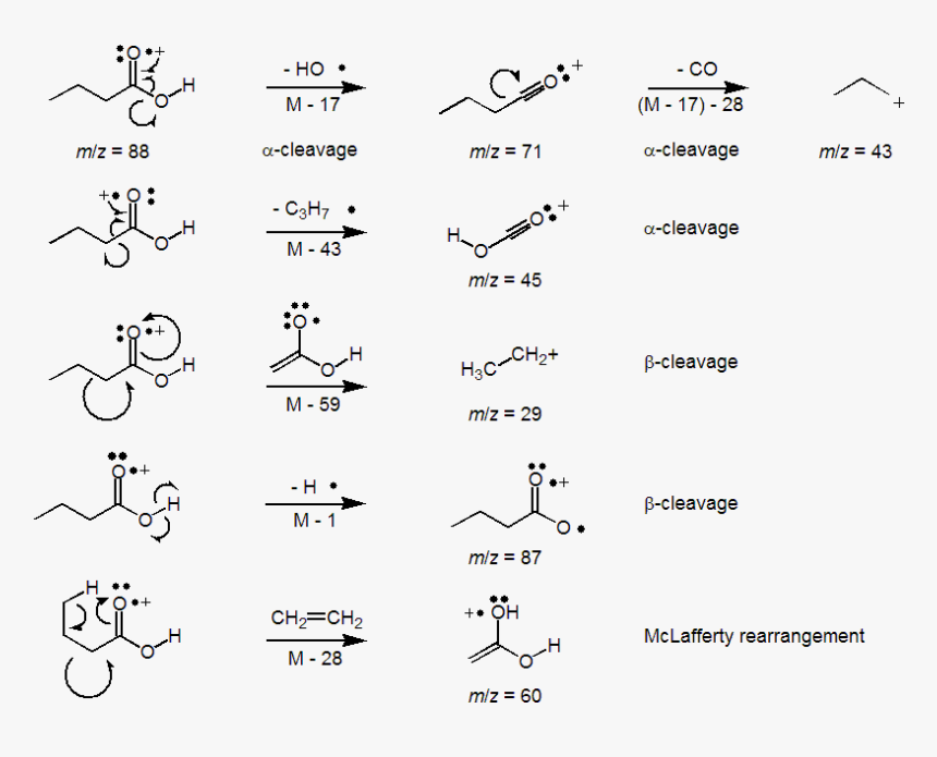 Butyric Acid Frag - Group, HD Png Download
