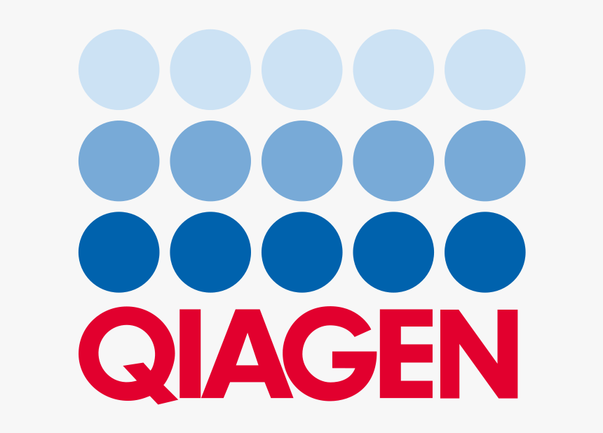 Qiagen Logo, HD Png Download