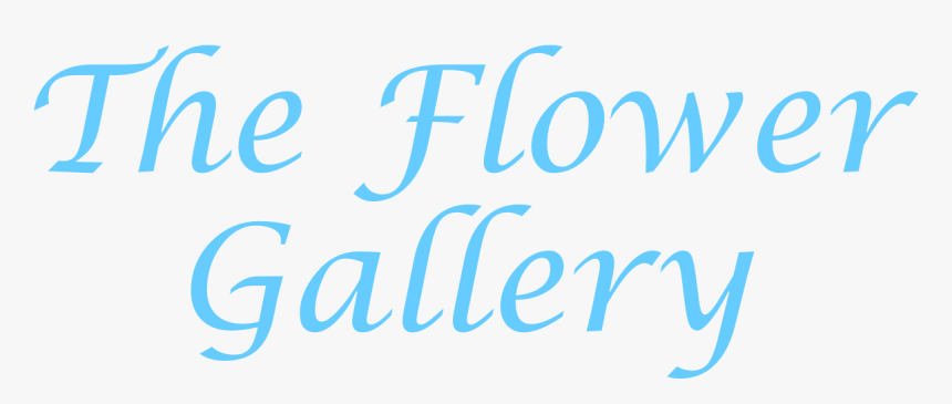 Democratic Youth Federation Of India, HD Png Download