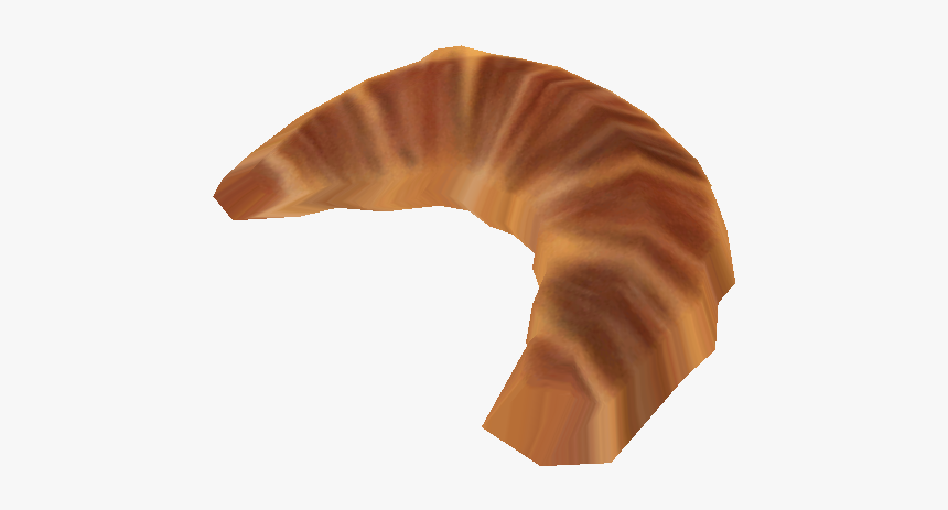 Download Zip Archive - Shell, HD Png Download