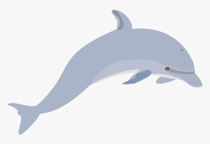 Delfín, Mamíferos, Natación, Lindo, Animales, Mar - Dolphin Clip Art Grey, HD Png Download