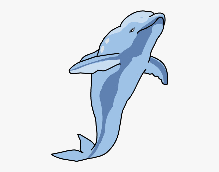 Common Bottlenose Dolphin, HD Png Download