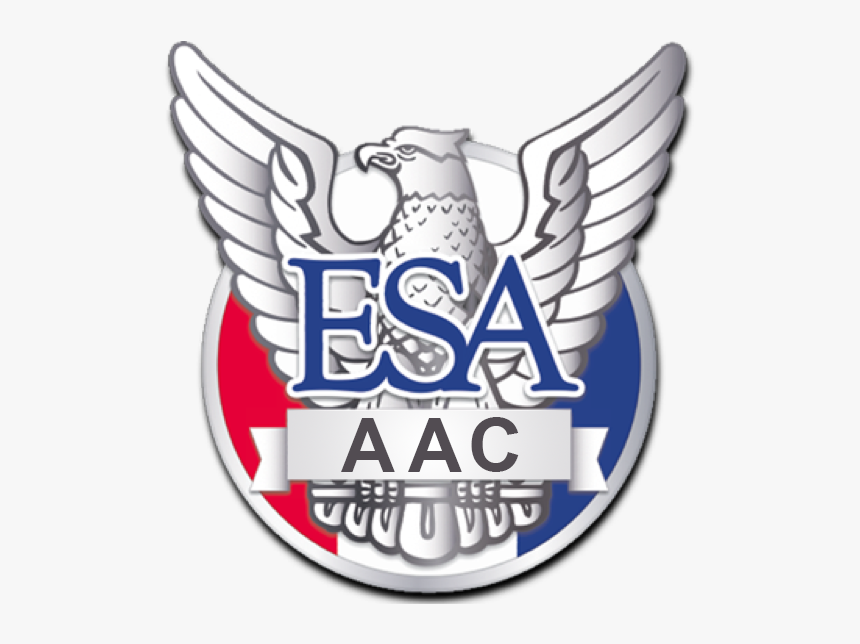Eagle Scout, HD Png Download