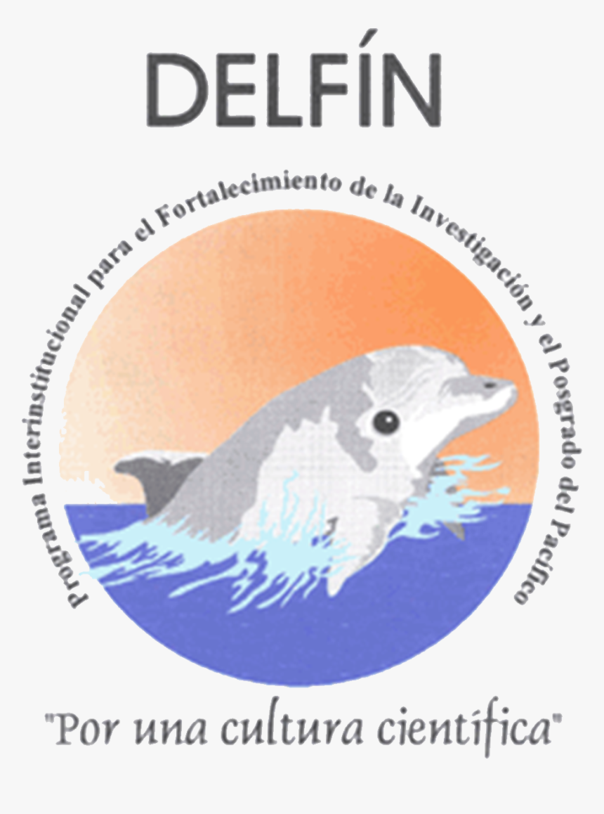 Marine Mammal, HD Png Download