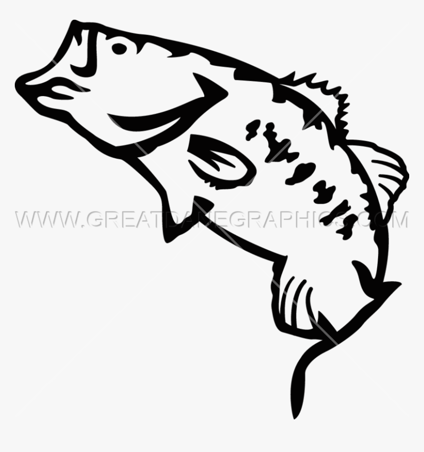 Transparent Largemouth Bass Clipart, HD Png Download