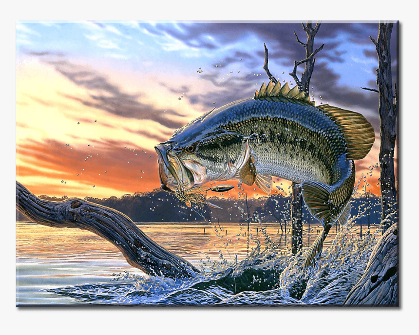 Cool Background Cool Fish, HD Png Download