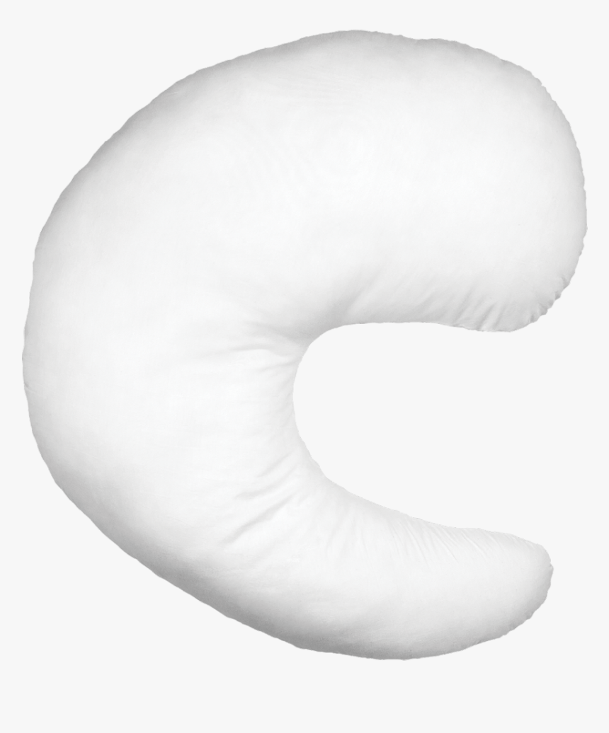 Beluga Whale, HD Png Download