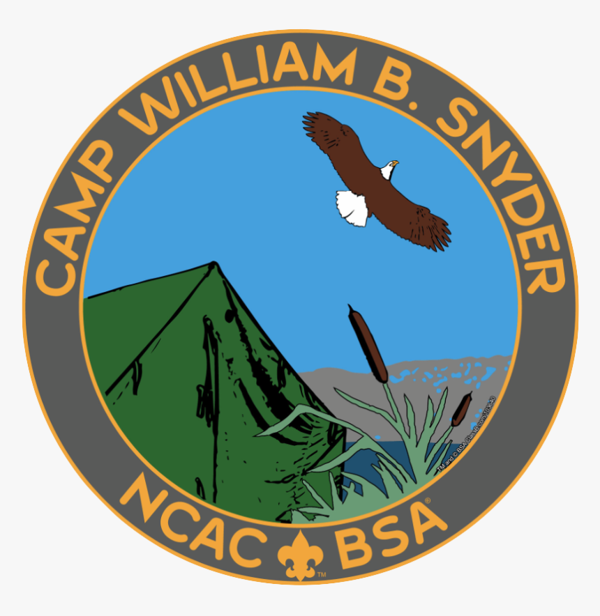 Eagle Scout Png, Transparent Png