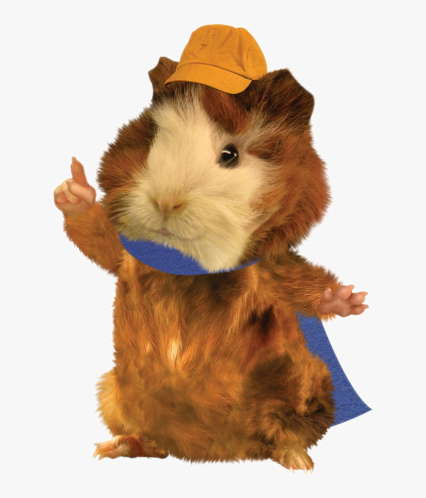 WONDER PETS HAMSTER visual data 2