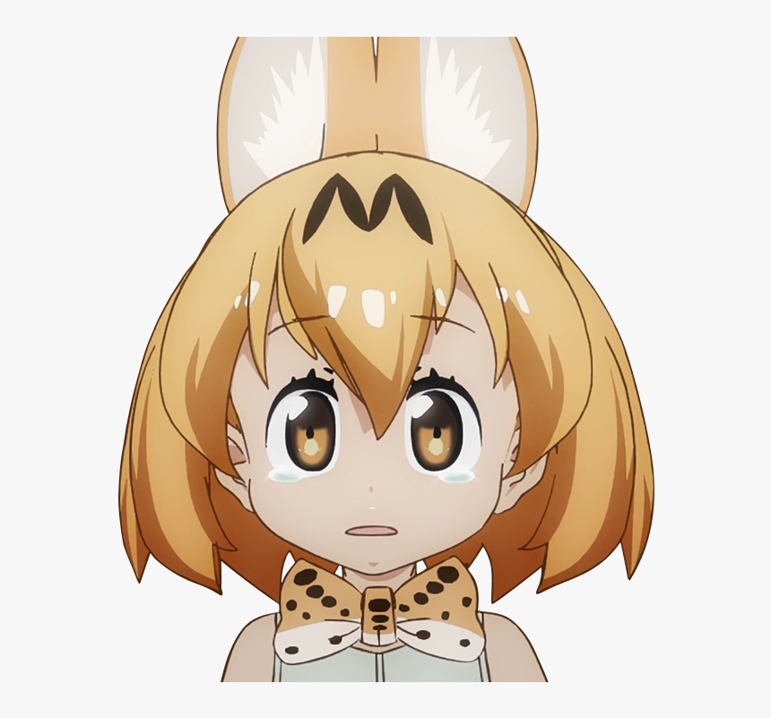Weird Png -that S Weird , - Kemono Friends Serval Sad, Transparent Png