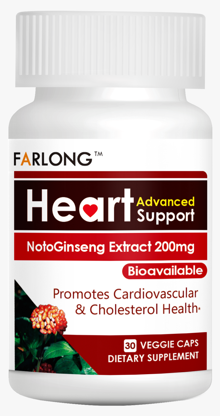 Reptile, HD Png Download