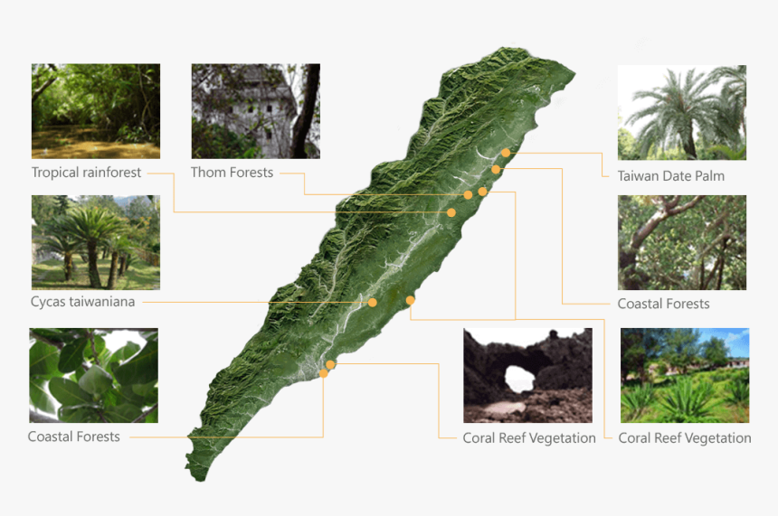 Transparent Vegetation Png - National Scenic Area, Png Download