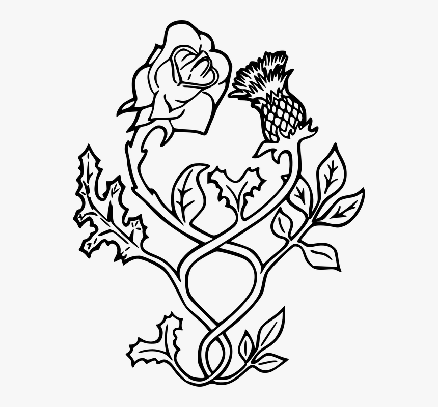 Thistle, England, Scotland, Flower, Rose, Ornament - Scottish Thistle And English Rose Tattoos, HD Png Download