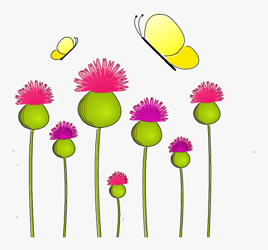 Anemone, Nature, Thistle, Lady, Wild Plant, Flora - Activity For English Writing, HD Png Download
