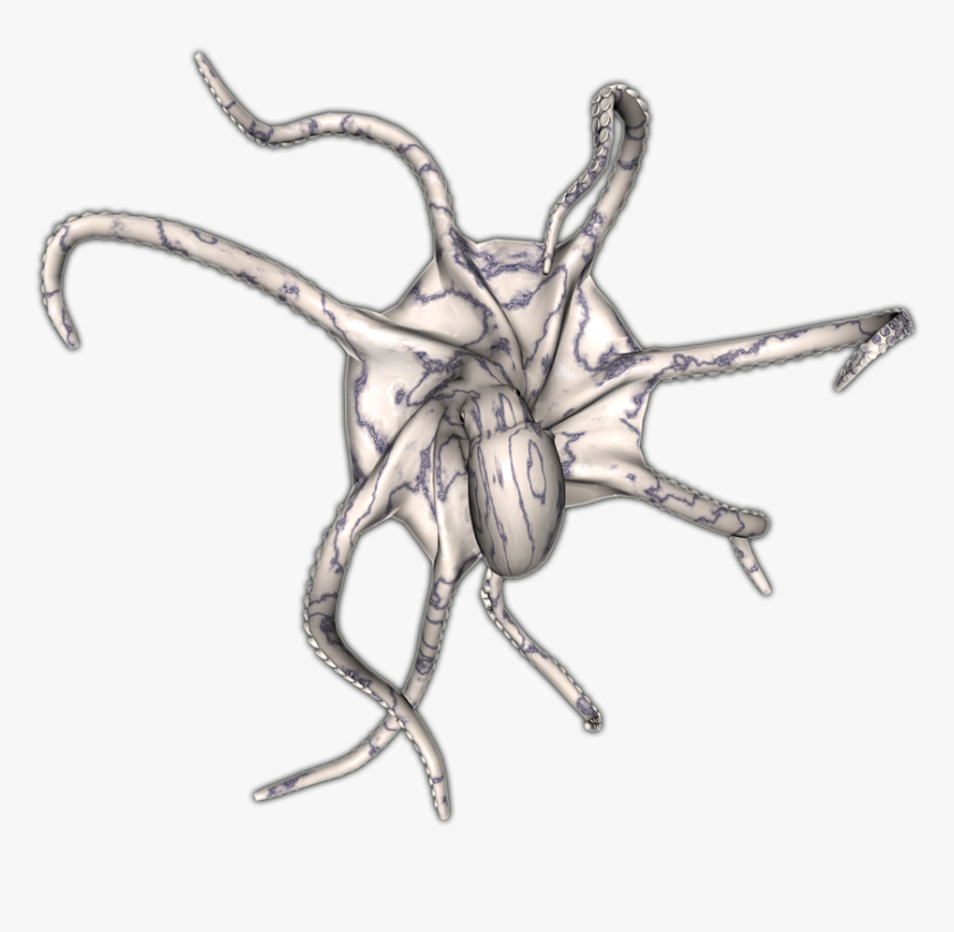 Dundjinni Octopus, HD Png Download