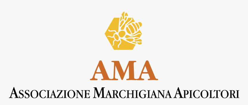 Graphics, HD Png Download