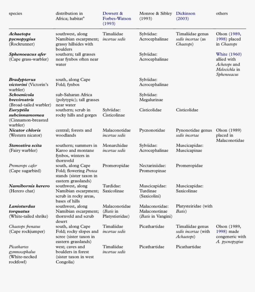 Screenshot, HD Png Download