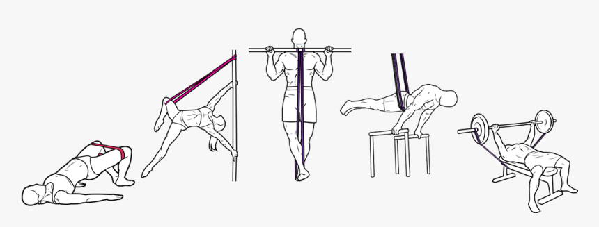 Sketch, HD Png Download